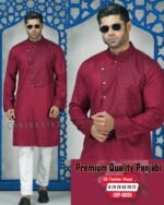 Men's Elegant Panjabi